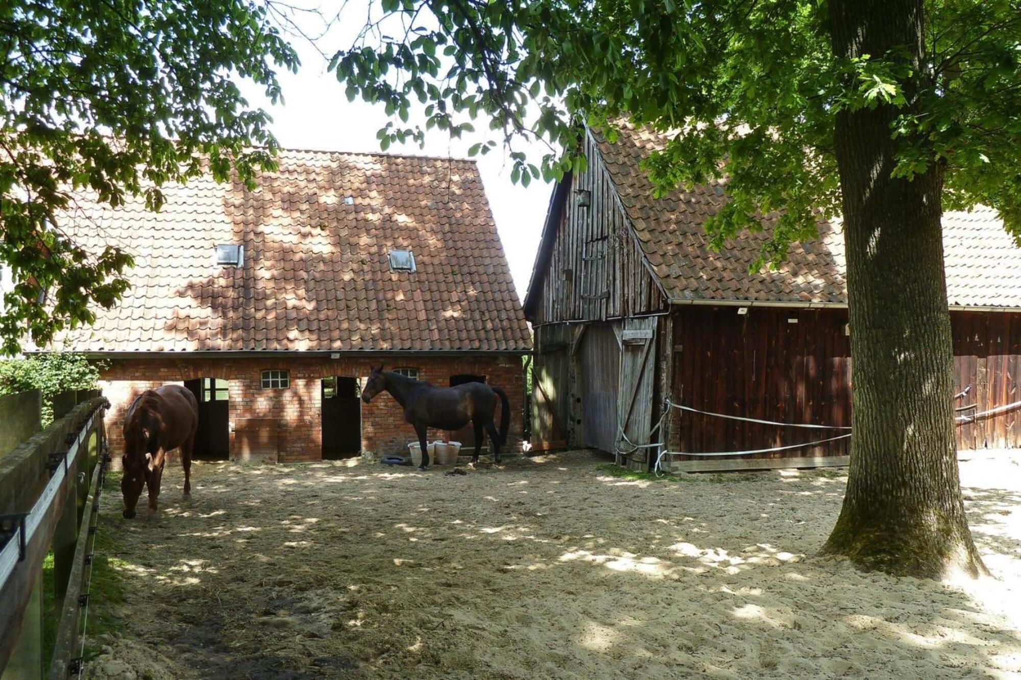 Ferienwohnung In Dorfmark Exteriör bild